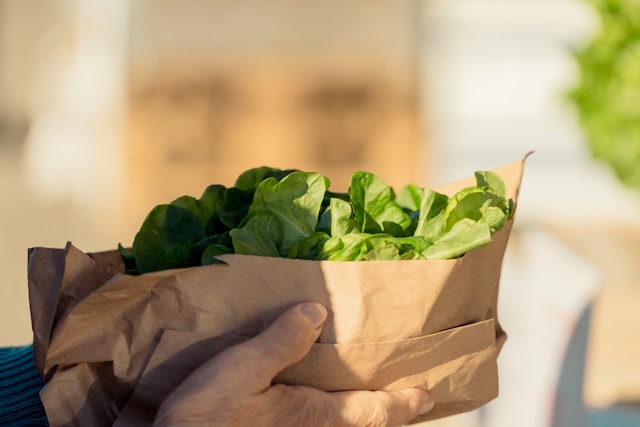 Egészséges étel kiszállítás